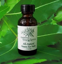 Neem for Nails