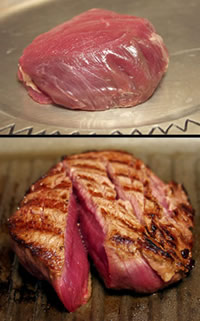 Blackwing Bison Tenderloin