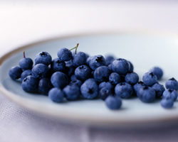 Sugar-Free Organic Blueberries