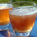 Kombucha Culture and Silver Needle Tea