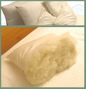 Organic Pillows