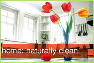 PureHome: Fresh And Clean