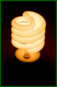 fluorescent light bulb