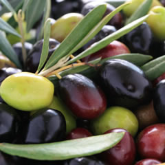 Orange Fennel Kalamata Olives