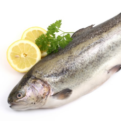 Tender, Tasty Trout